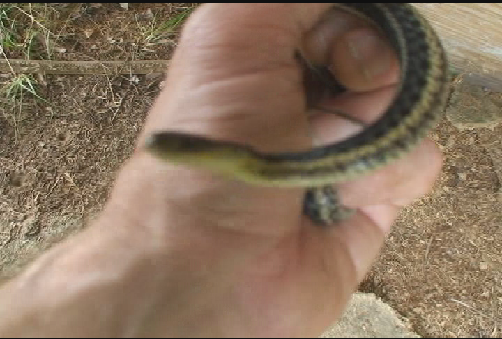 Thumbnail image for Expedition New England with Scott Tucker