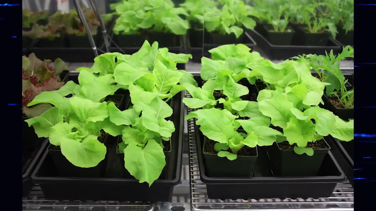 Thumbnail image for NASA TV: Highlights