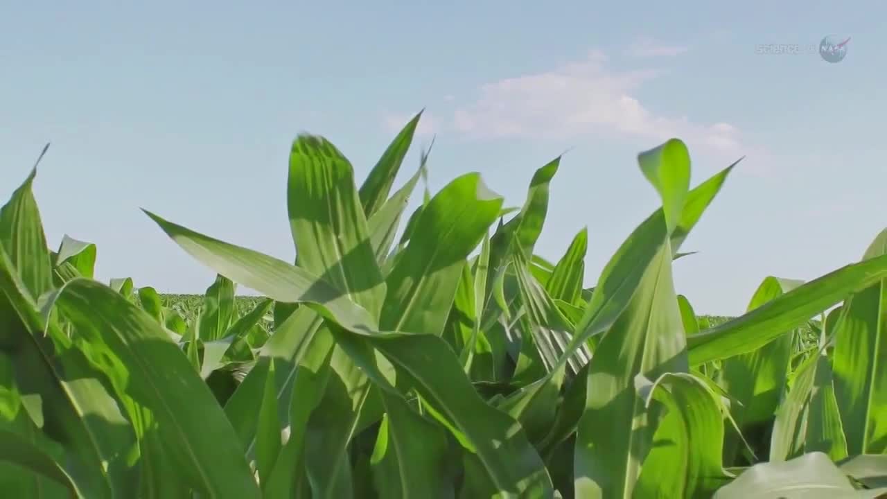 Thumbnail image for NASA TV: Highlights