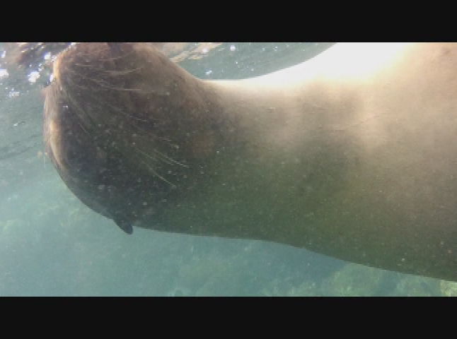 Thumbnail image for Expedition New England with Scott Tucker