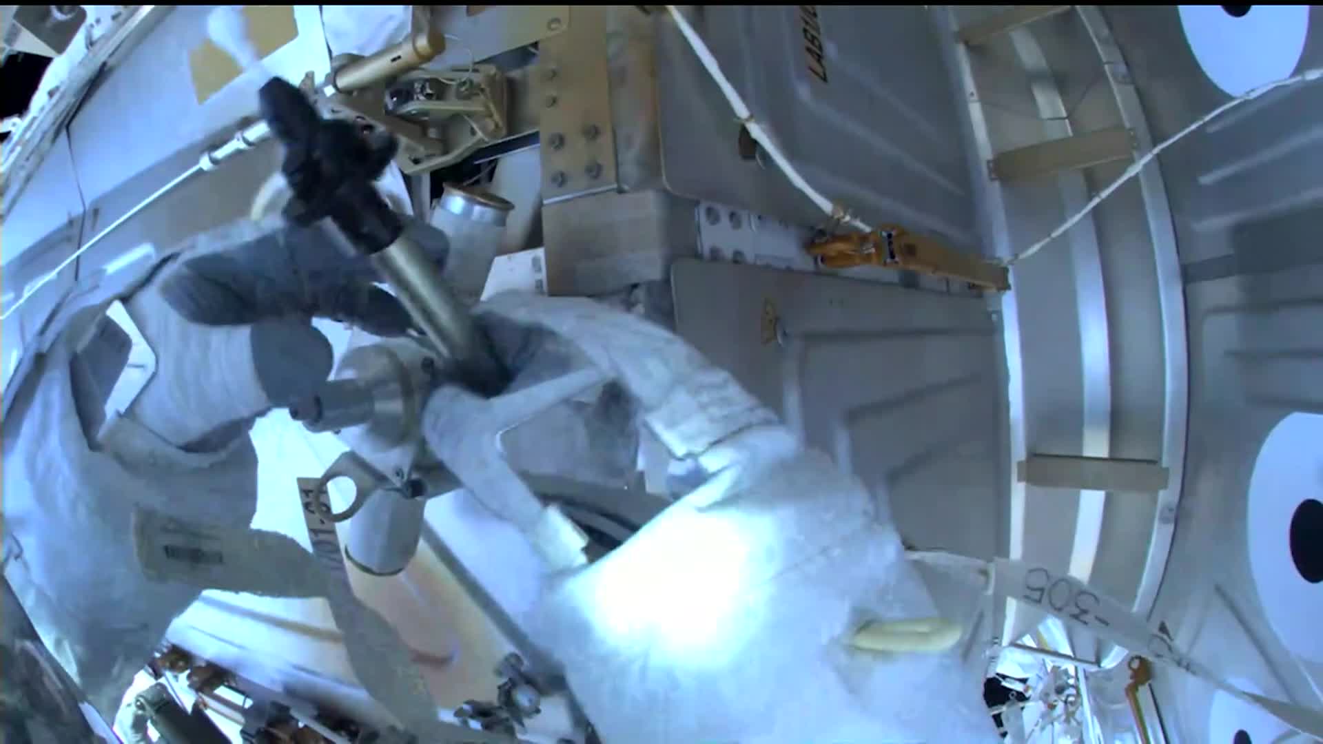 NASA TV: Highlights