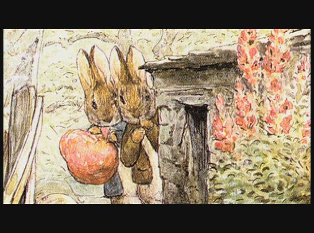 Thumbnail image for Reading Aloud with Judith McConnell