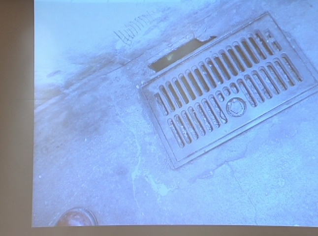 Preventing Rats Forum