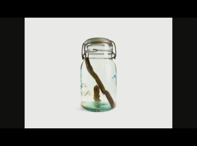 Thumbnail image for Innovation Showcase