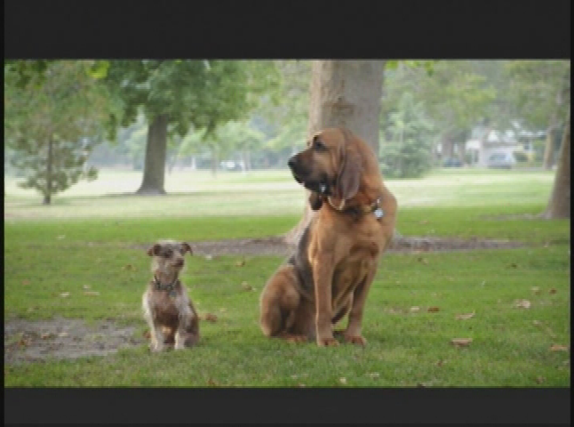 Thumbnail image for Creating Cooperative Kids