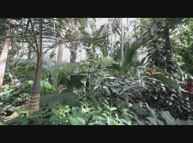 Thumbnail image for STEM in 30