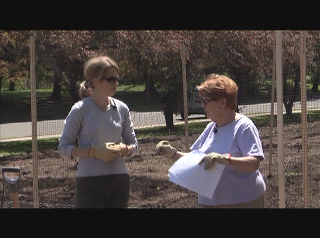 Thumbnail image for Life and Style with Sara