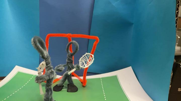 Thumbnail image for Lacrosse Goal