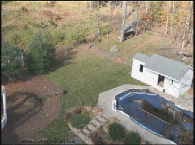 Thumbnail image for Life and Style with Sara