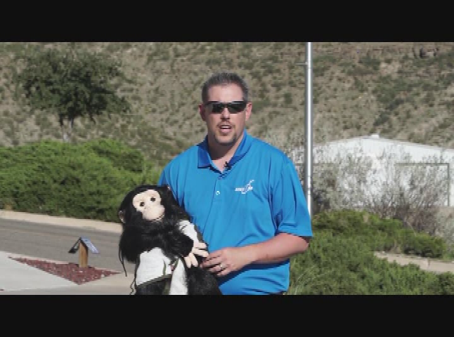 Thumbnail image for STEM in 30