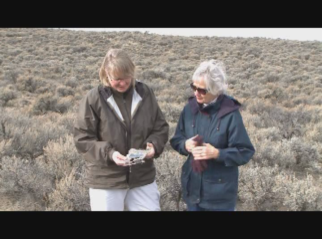 Thumbnail image for Strata: Portraits of Humanity