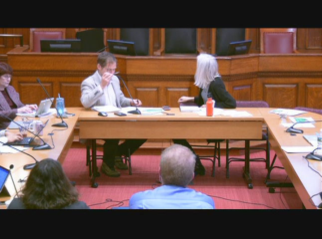 Thumbnail image for 11/28/2018 Public Safety Committee