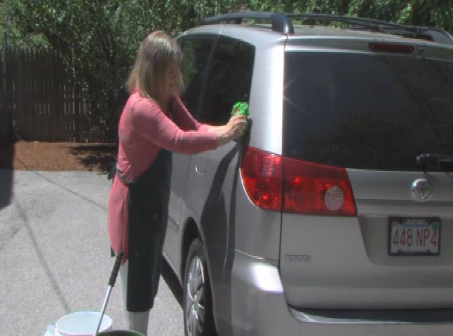 Thumbnail image for Clean Green Living