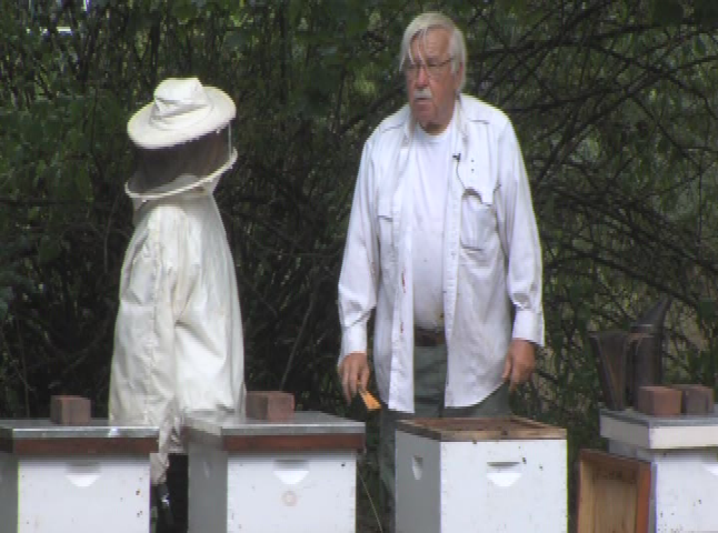 Thumbnail image for Clean Green Living