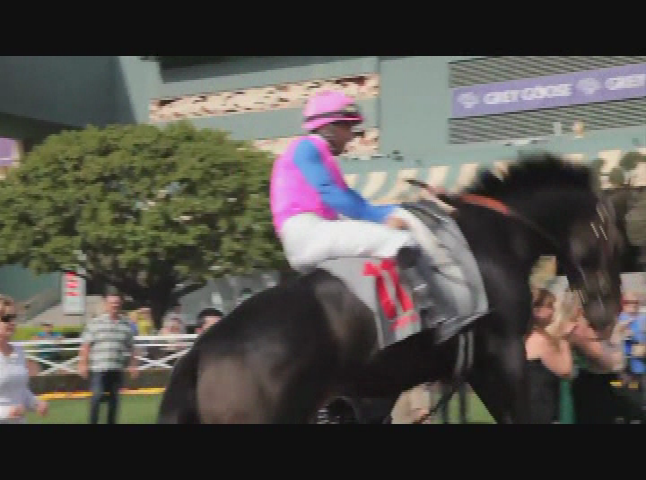 Thumbnail image for Del Weston: Action on Film