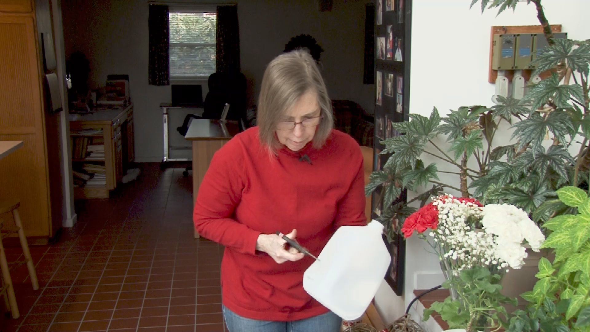 Thumbnail image for A Walk in the Garden