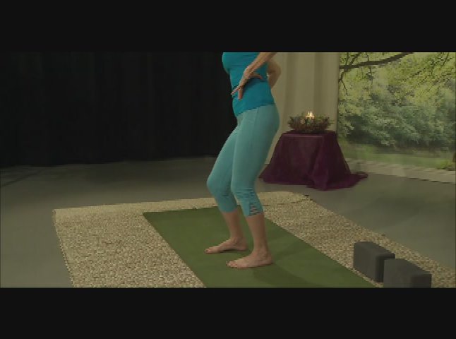 Thumbnail image for Yoga for Health and Joy: Yoga for Runners and Hikers